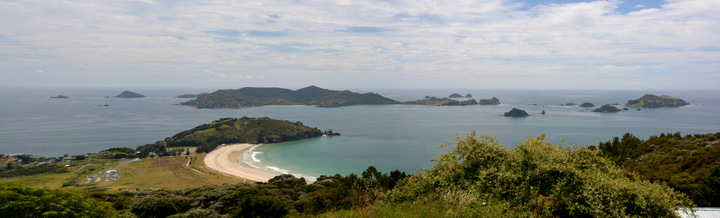 View over Matauri Bay